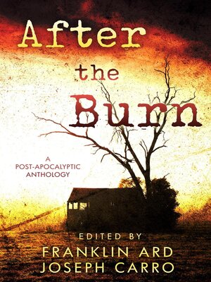 cover image of After the Burn